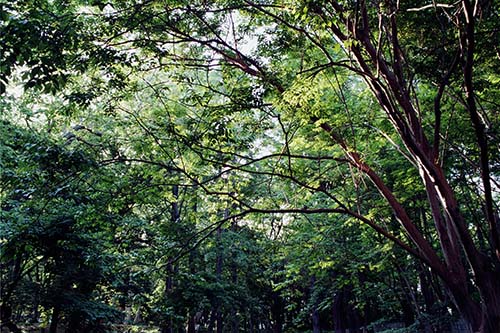 yamadakiyotaka