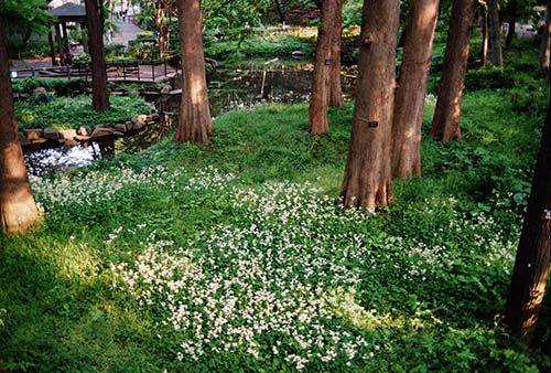 yamadakiyotaka