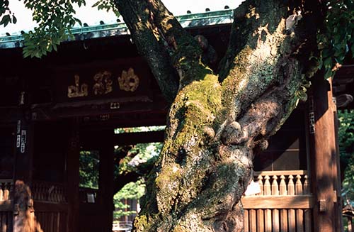 yamadakiyotaka