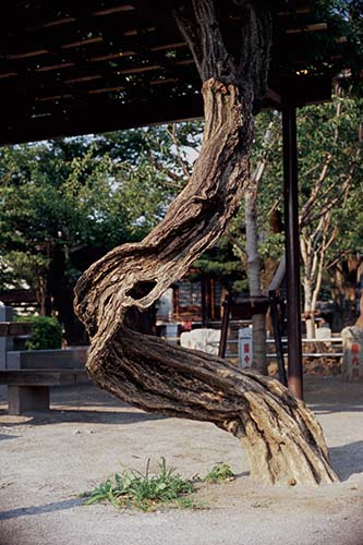yamadakiyotaka