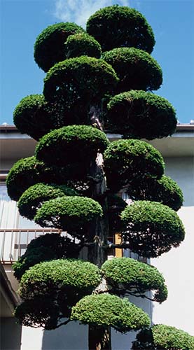 yamadakiyotaka